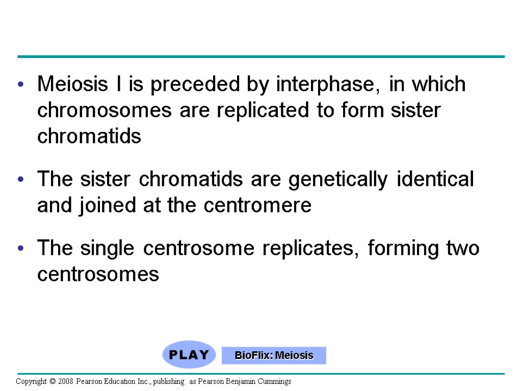 Meiosis I is preceded by interphase, in which chromosomes are replicated to form sister